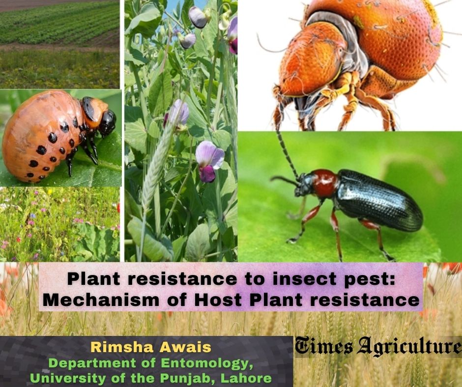 Advantages Of Pest Resistance In Modern Agriculture