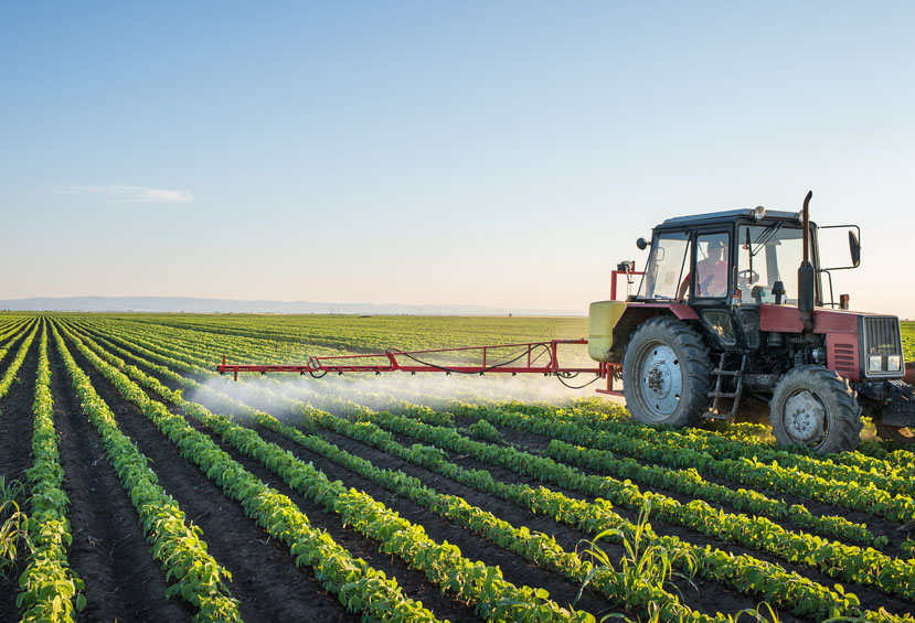 Advantages Of Pest Resistance In Modern Agriculture