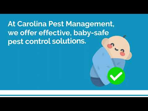 After Pest Control: Safety Tips For Bringing A Baby Home