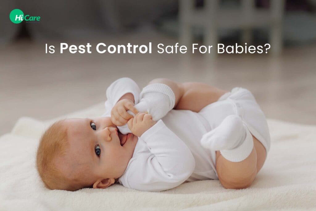 After Pest Control: Safety Tips For Bringing A Baby Home