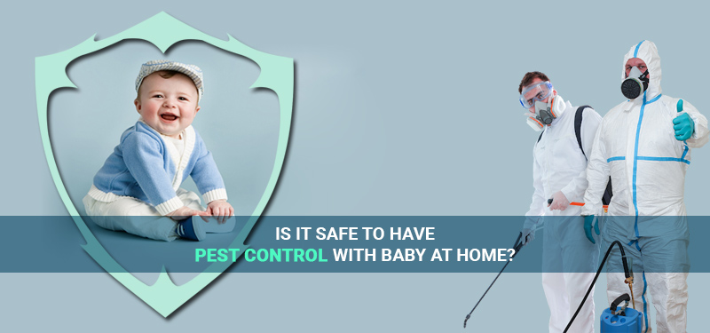 After Pest Control: Safety Tips For Bringing A Baby Home