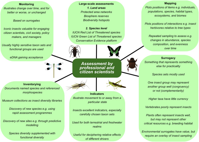 Aquatic Pests: Challenges And Solutions