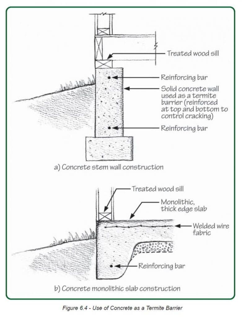 Cracks  Decaying Masonry: How To Prevent Pest Access