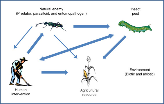 Defining Pests: What Makes An Organism A Pest?