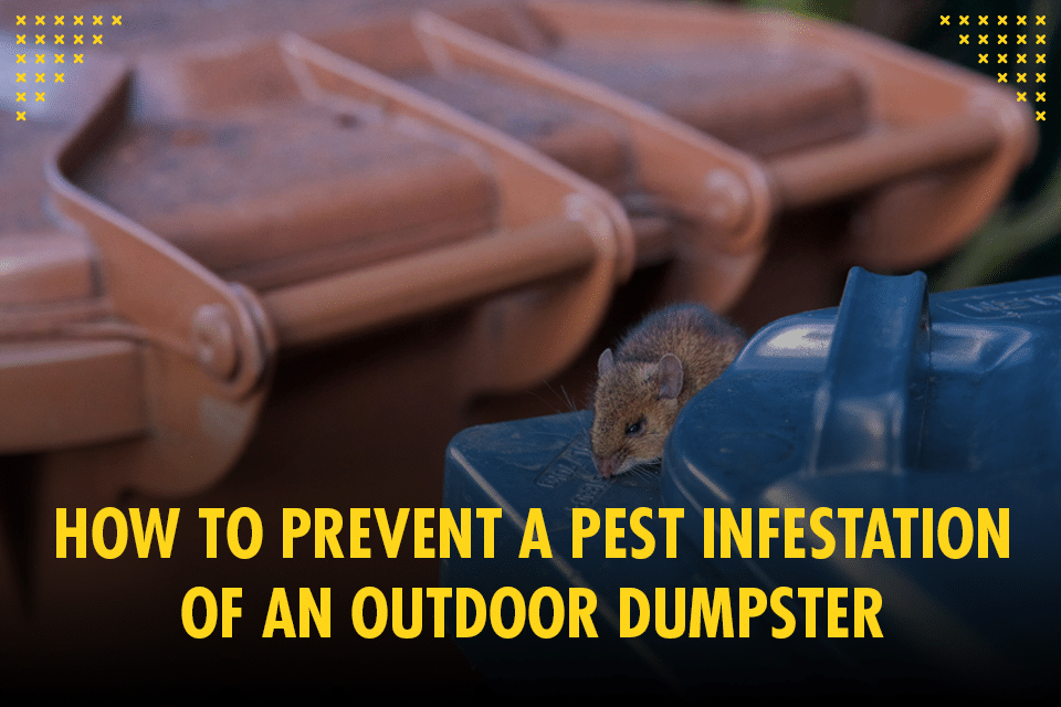 Dumpster Defense: Preventing Pest Infestations Outdoors