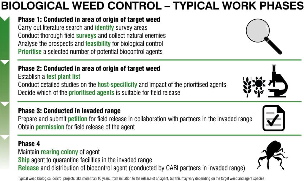 Invasive Pests: How To Identify And Control Them