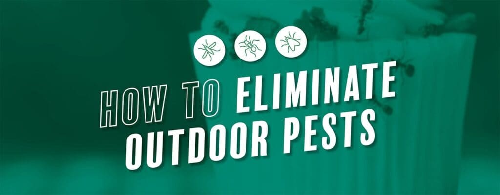 Keeping Operations Pest-Free: Proven Strategies