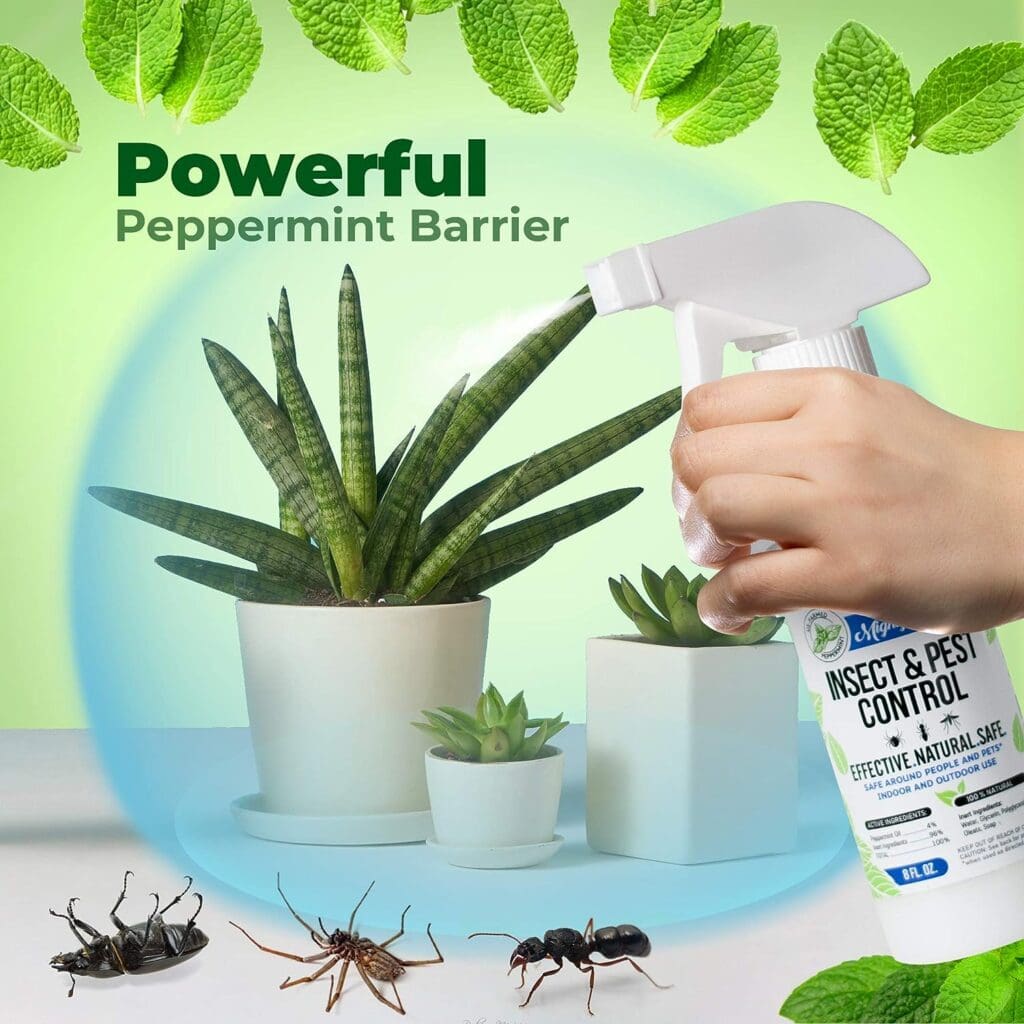 Mighty Mint 8oz Insect and Pest Control Peppermint Oil - Natural Spray for Spiders, Ants, and More (2)