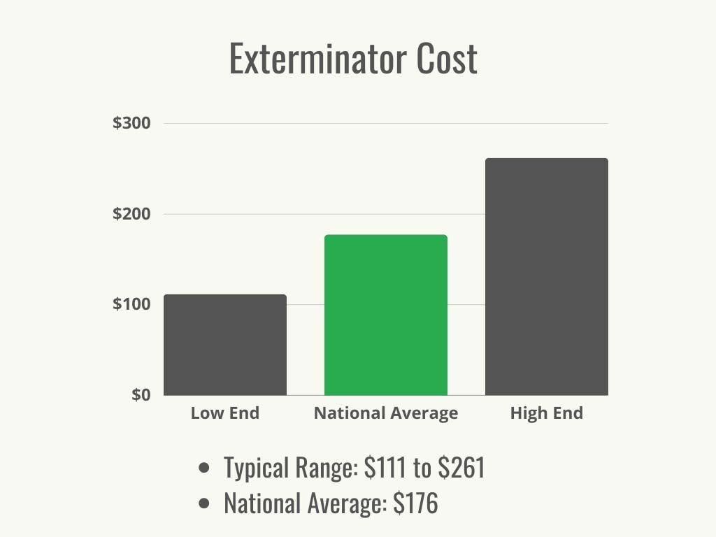 Monthly Pest Control: Is It Worth The Cost?