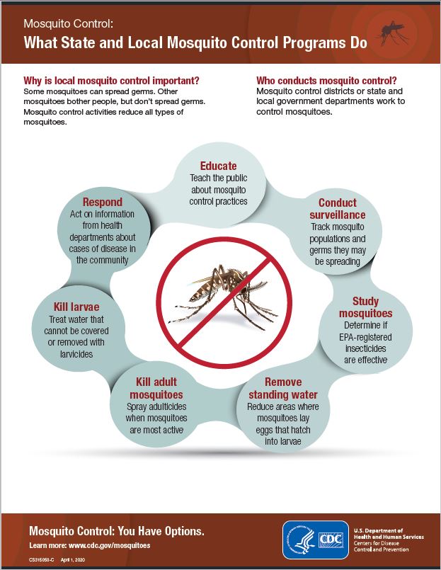 Mosquito Management: Prevention And Treatment Techniques