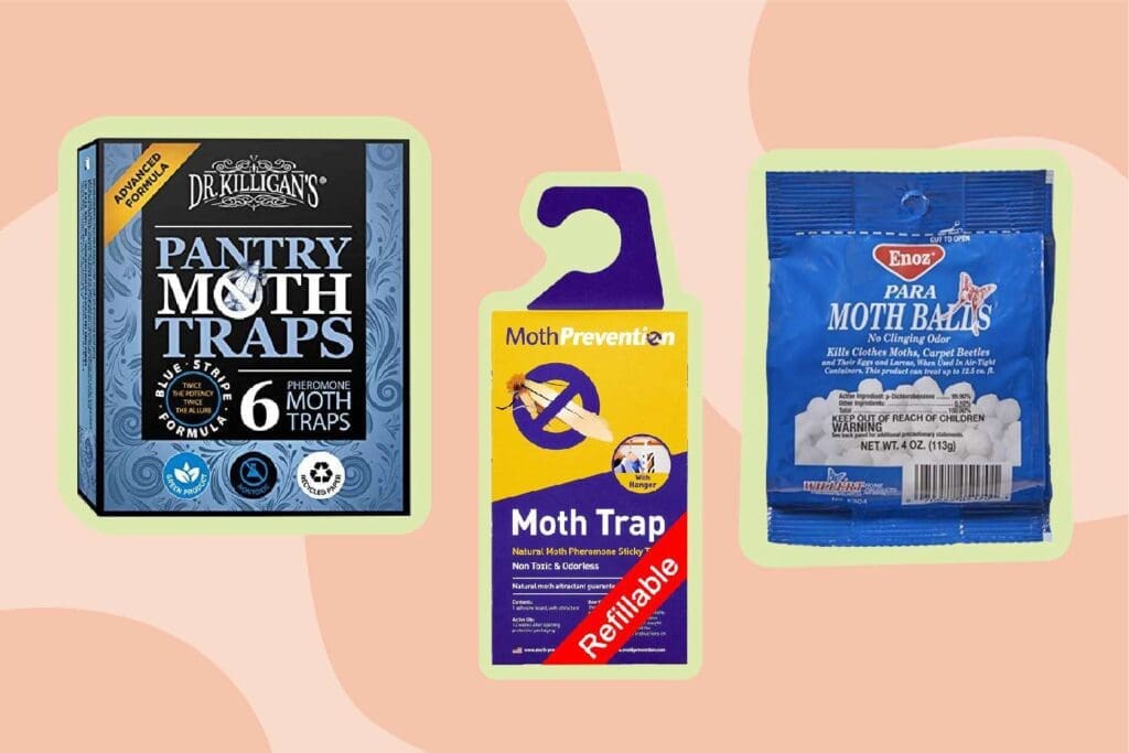 Natural Solutions For Moth Control In The Home