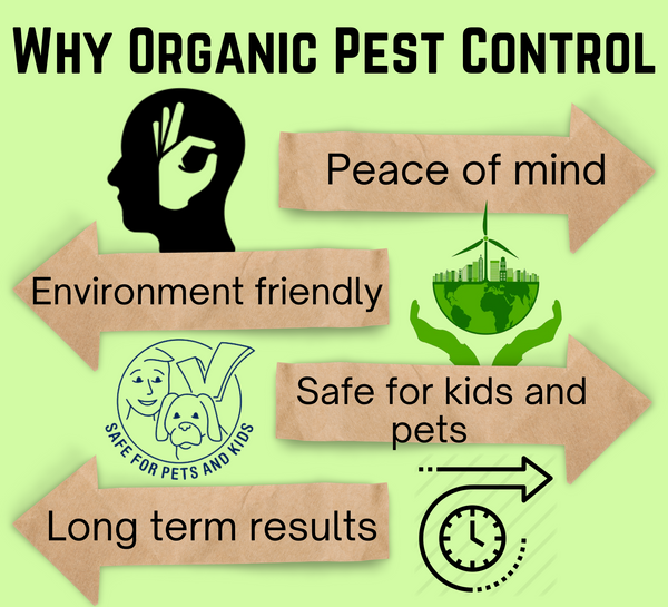 Organic Pest Control: Benefits And Best Practices