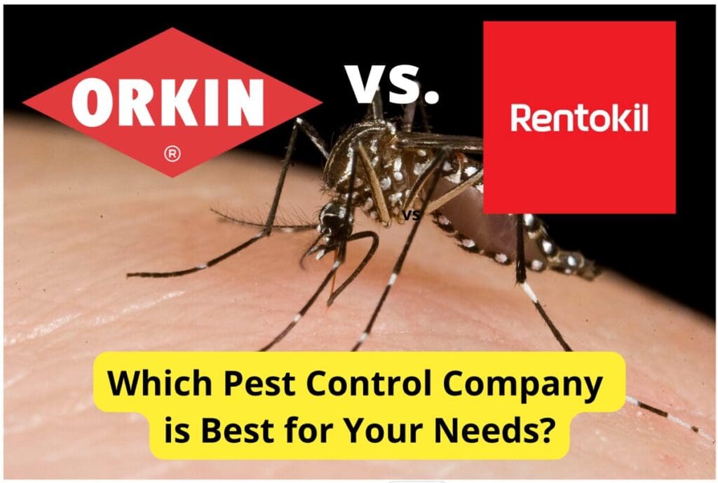 Orkin Vs. Local Pest Control: Cost And Effectiveness Compared