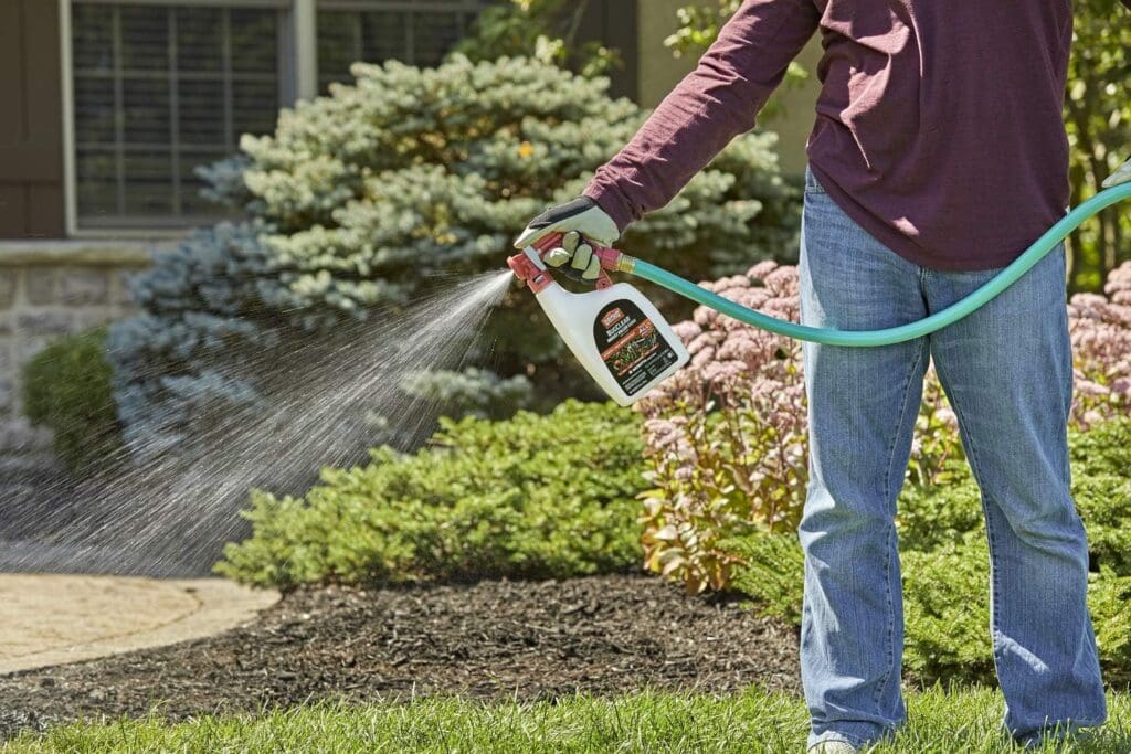 Ortho BugClear Insect Killer for Lawns  Landscapes Ready to Spray - Kills Ants, Spiders, Fleas, Ticks, Armyworms  Other Insects, Outdoor Bug Spray for up to 6 Month Insect Control, 32 oz.