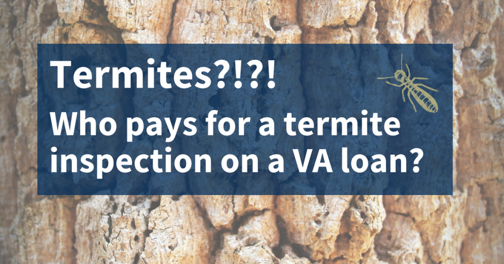 Pest Control And VA Inspections: Who Pays?