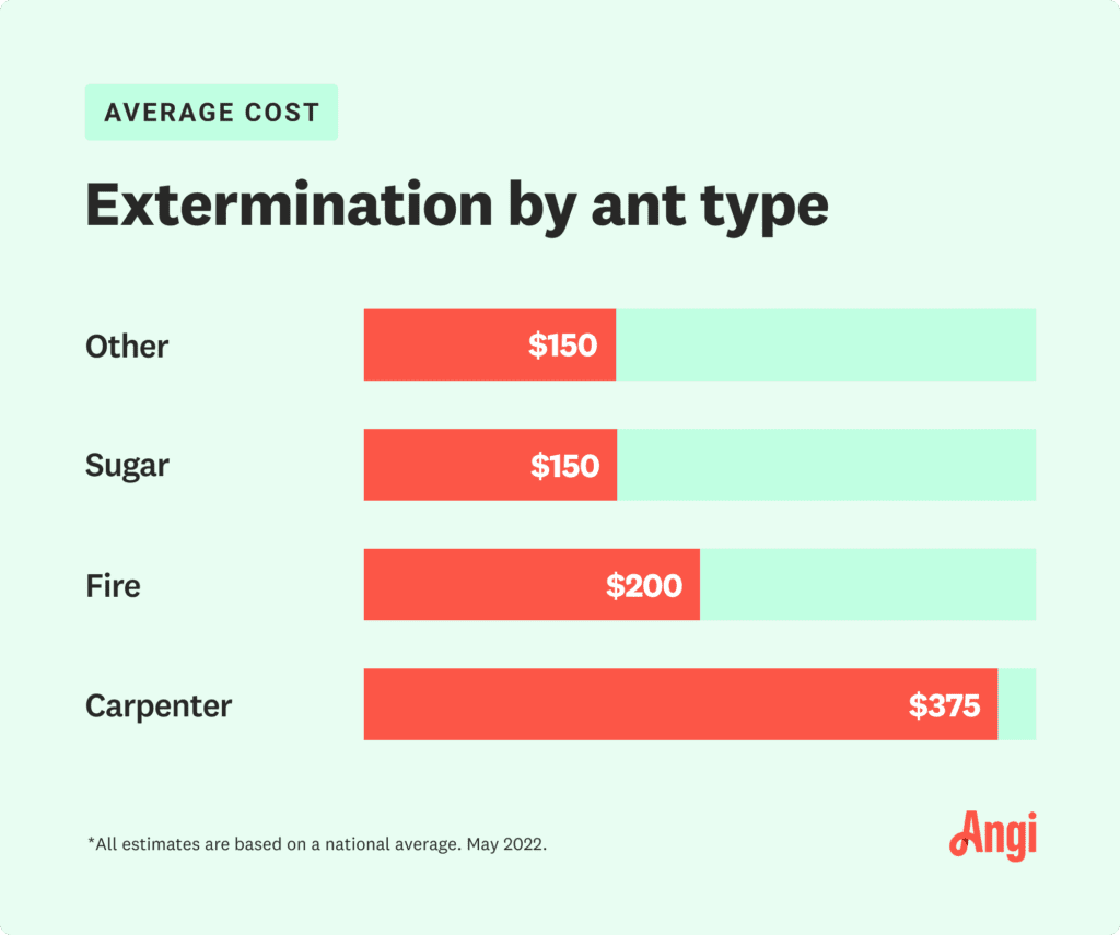 Pest Control For Ants: Costs, Methods, And Prevention Tips
