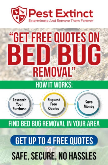 Pest Control For Bed Bugs: Costs, Signs, And Treatment Methods