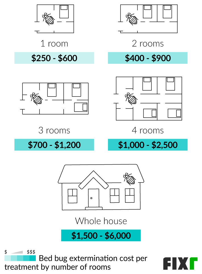 Pest Control For Bed Bugs: Costs, Signs, And Treatment Methods