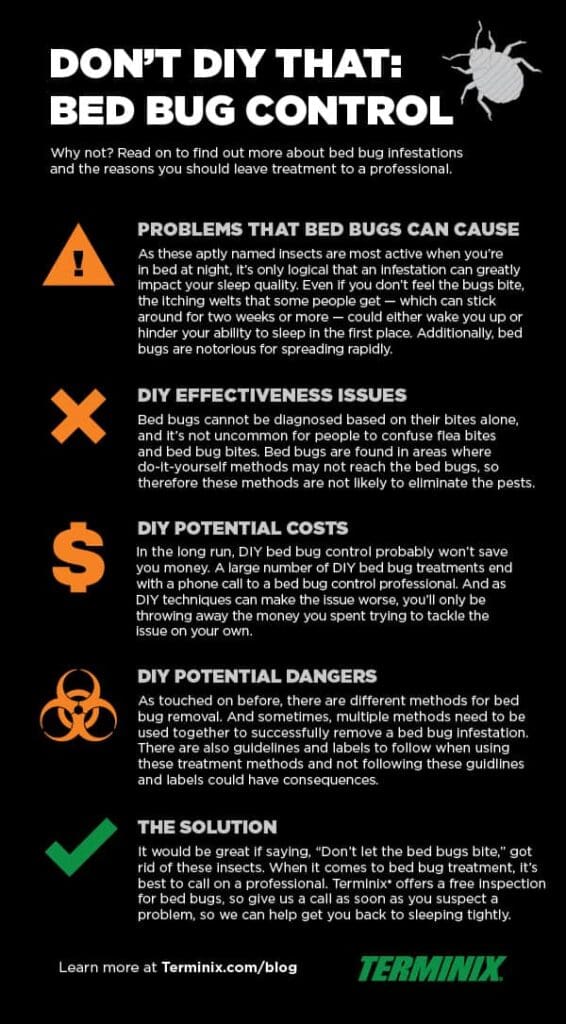 Pest Control For Bed Bugs: Costs, Signs, And Treatment Methods
