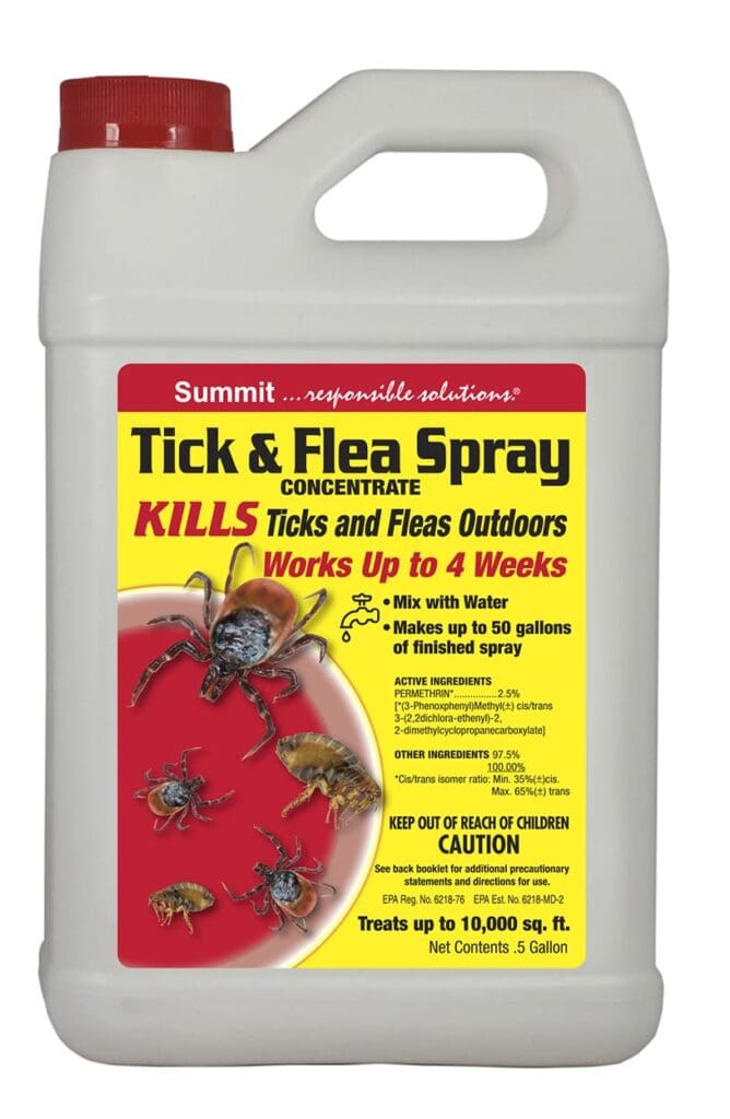 Pest Control For Fleas: Effective Solutions For Homeowners