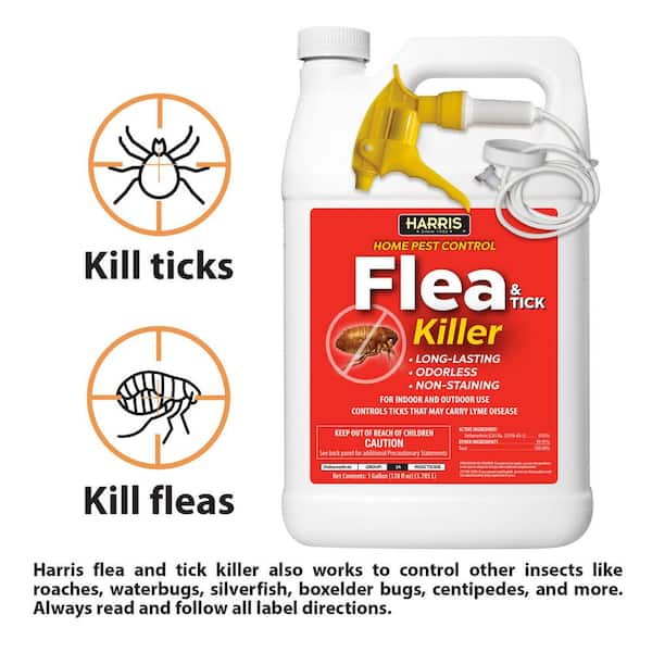 Pest Control For Fleas: Effective Solutions For Homeowners