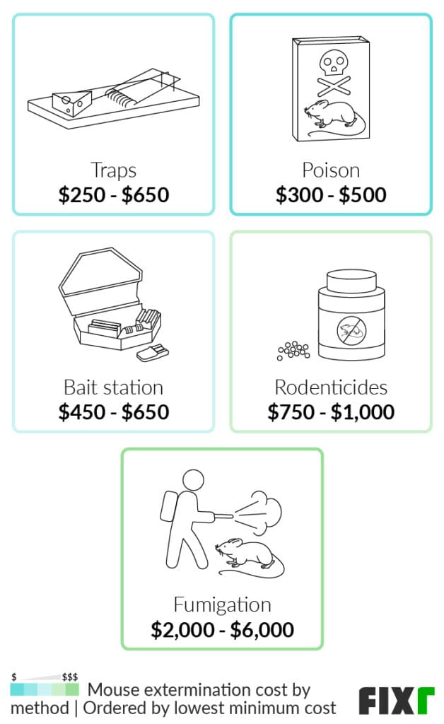 Pest Control For Mice: Costs, Methods, And Tips