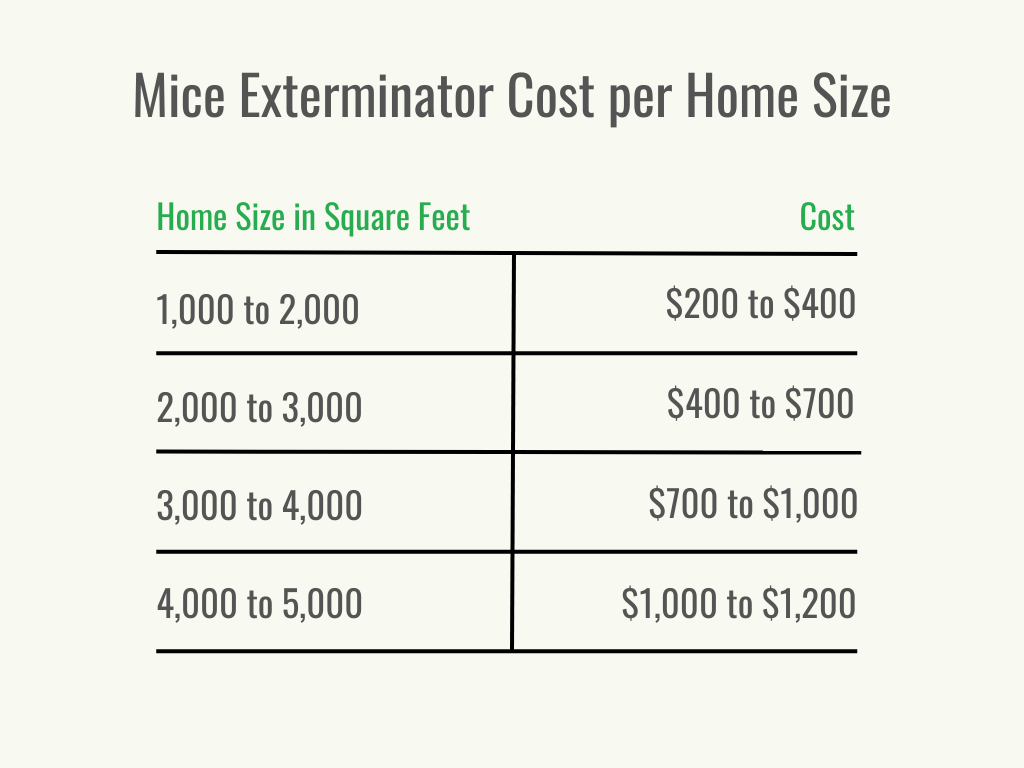 Pest Control For Mice: Costs, Methods, And Tips