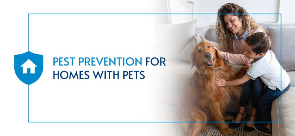 Pest Control For Pet Owners