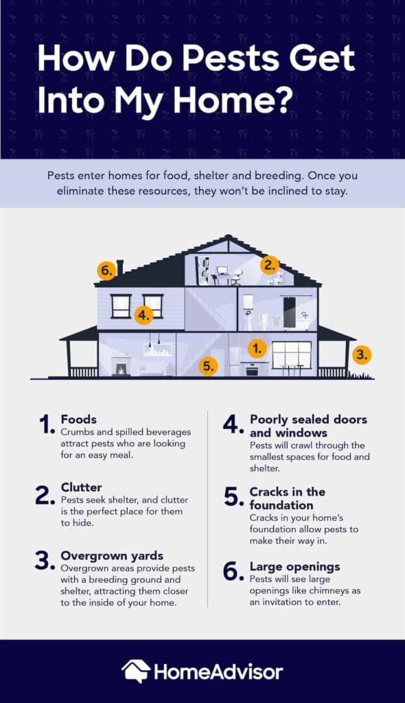 Pest Control For Pet Owners
