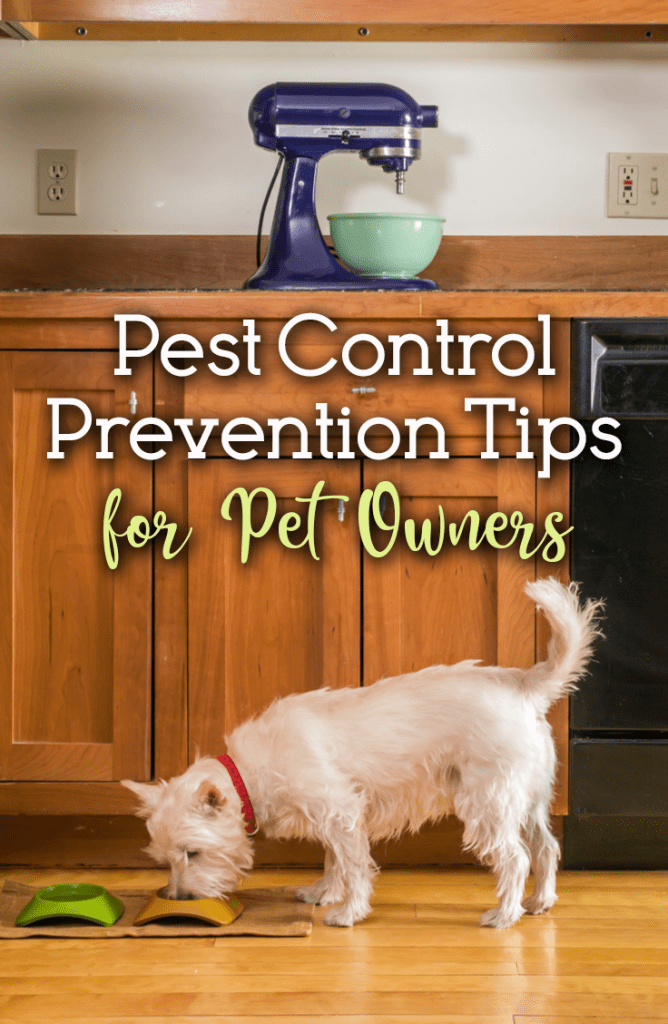Pest Control For Pet Owners
