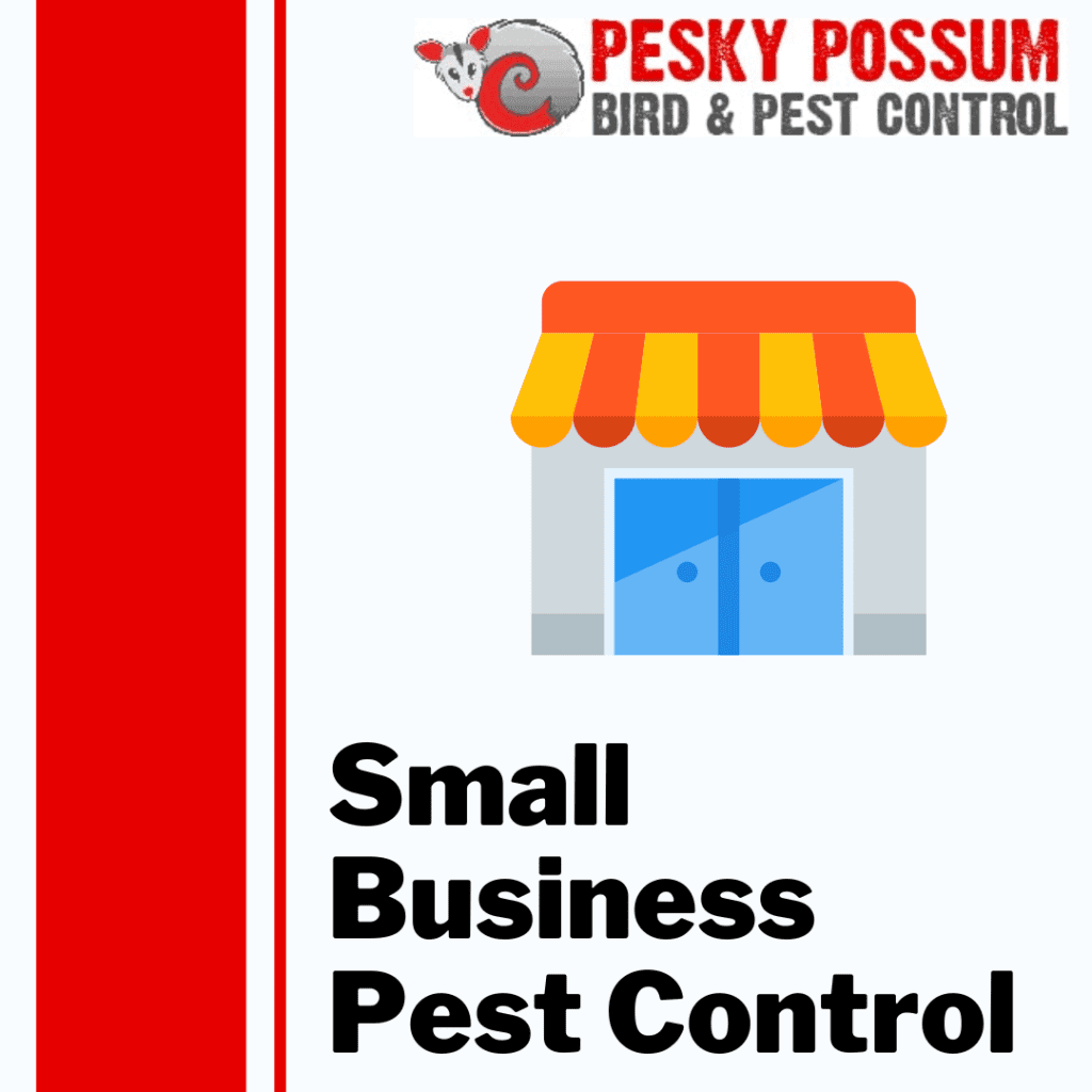 Pest Control For Small Businesses