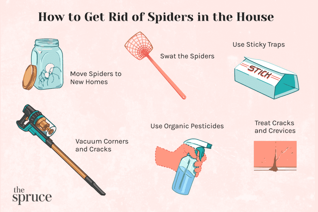 Pest Control For Spiders: Costs, Methods, And Prevention Tips