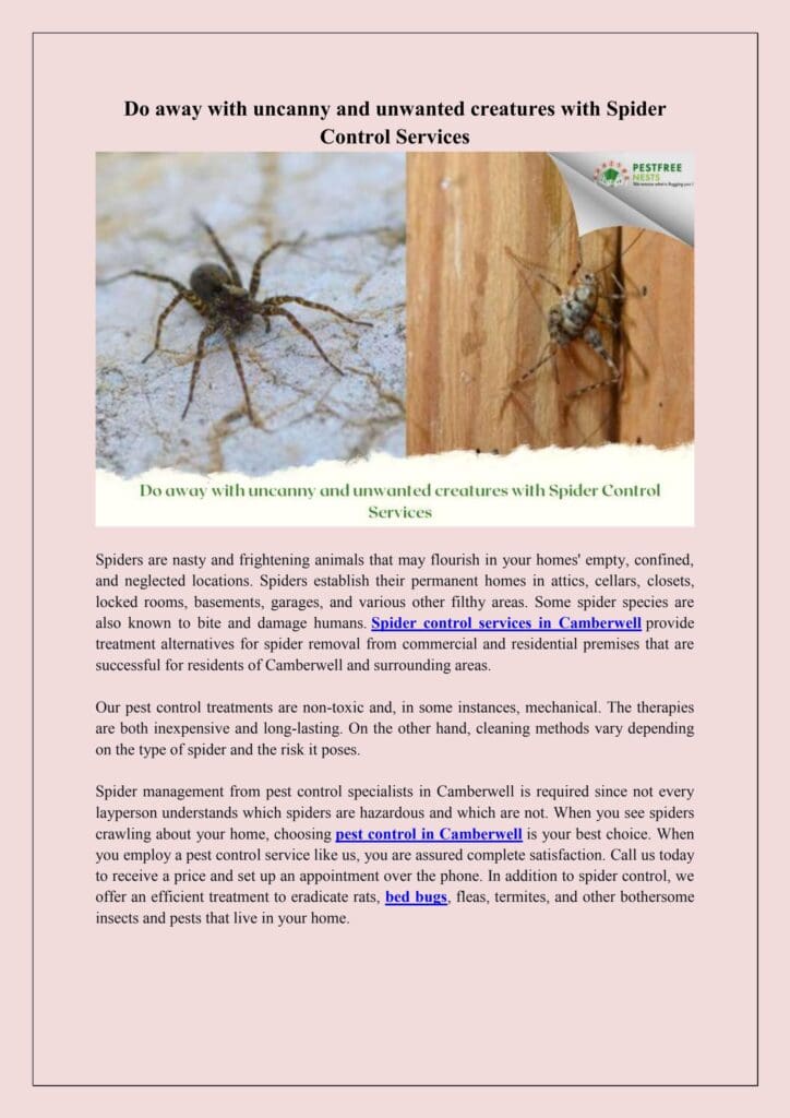 Pest Control For Spiders: Costs, Methods, And Prevention Tips