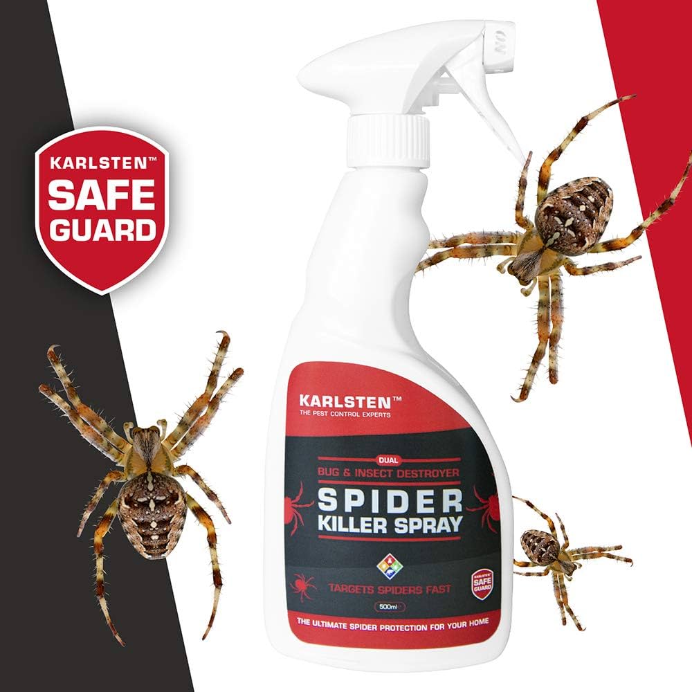 Pest Control For Spiders: Effective Solutions For A Common Problem
