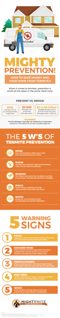 Pest Control For Termites: Costs, Signs, And Prevention