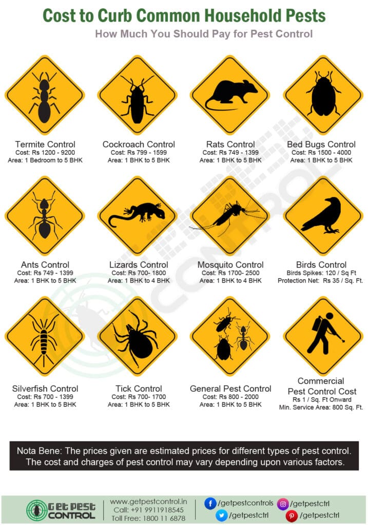 Pest Control For Termites: Costs, Signs, And Treatment Methods