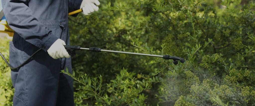 Pest Control For The Elderly: Special Considerations