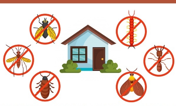 Pest Control For The Elderly: Special Considerations