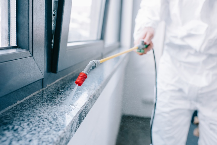 Pest Control For The Elderly: Special Considerations