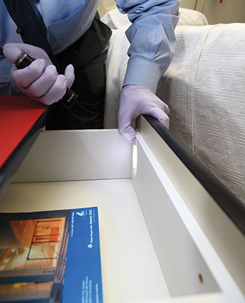 Pest Control For The Elderly: Special Considerations
