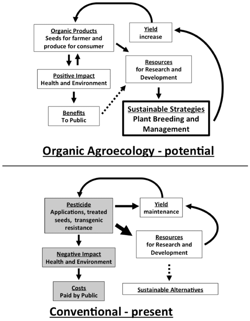 Pest Control In Agricultural Supply Chains
