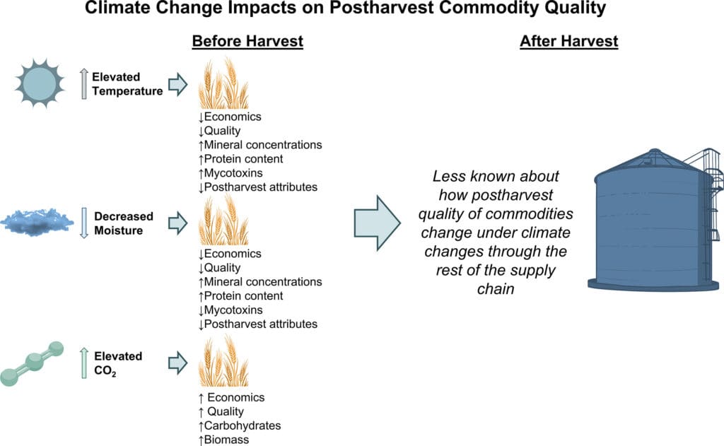 Pest Control In Agricultural Supply Chains