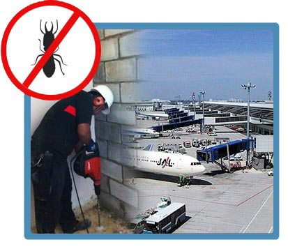 Pest Control In Airports
