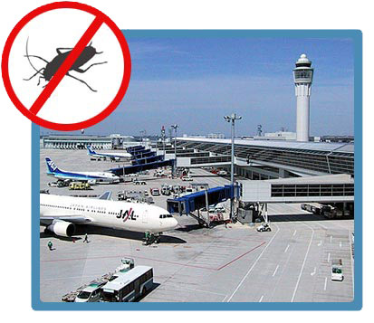 Pest Control In Airports