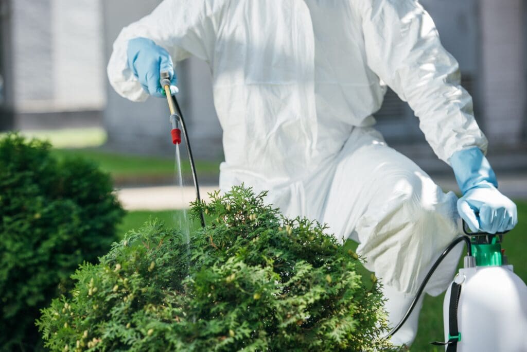 Pest Control In Apartments: Chemicals, Safety, And Rights