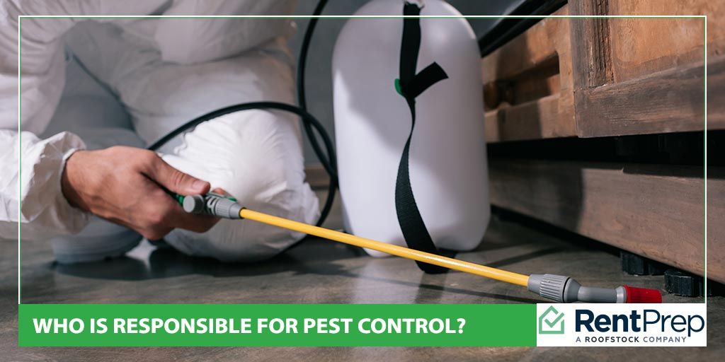 Pest Control In Apartments: Chemicals, Safety, And Rights