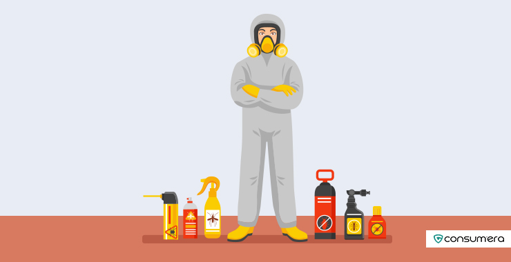 Pest Control In Apartments: Chemicals, Safety, And Rights
