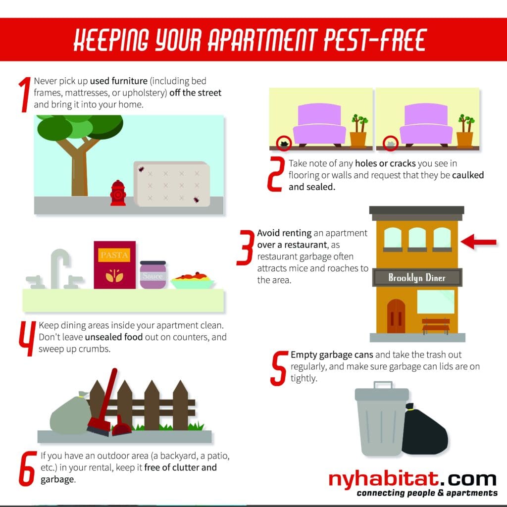 Pest Control In Apartments: What To Expect And How To Prepare