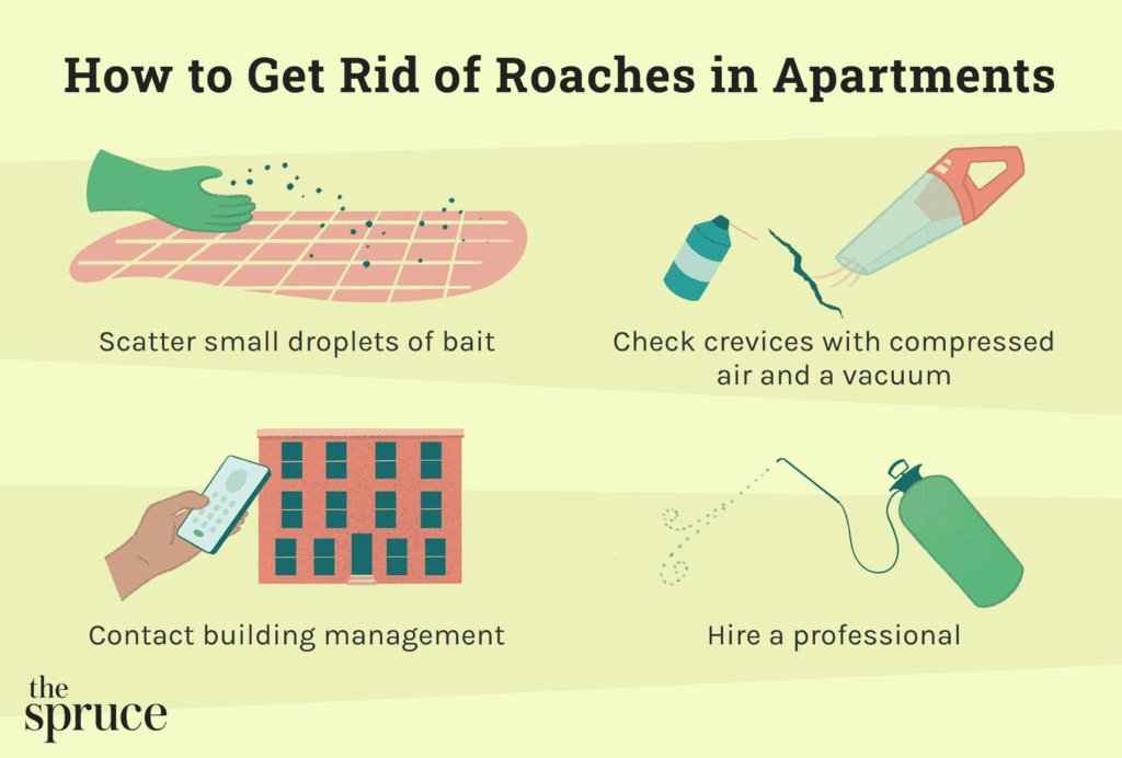Pest Control In Apartments: What To Expect And How To Prepare