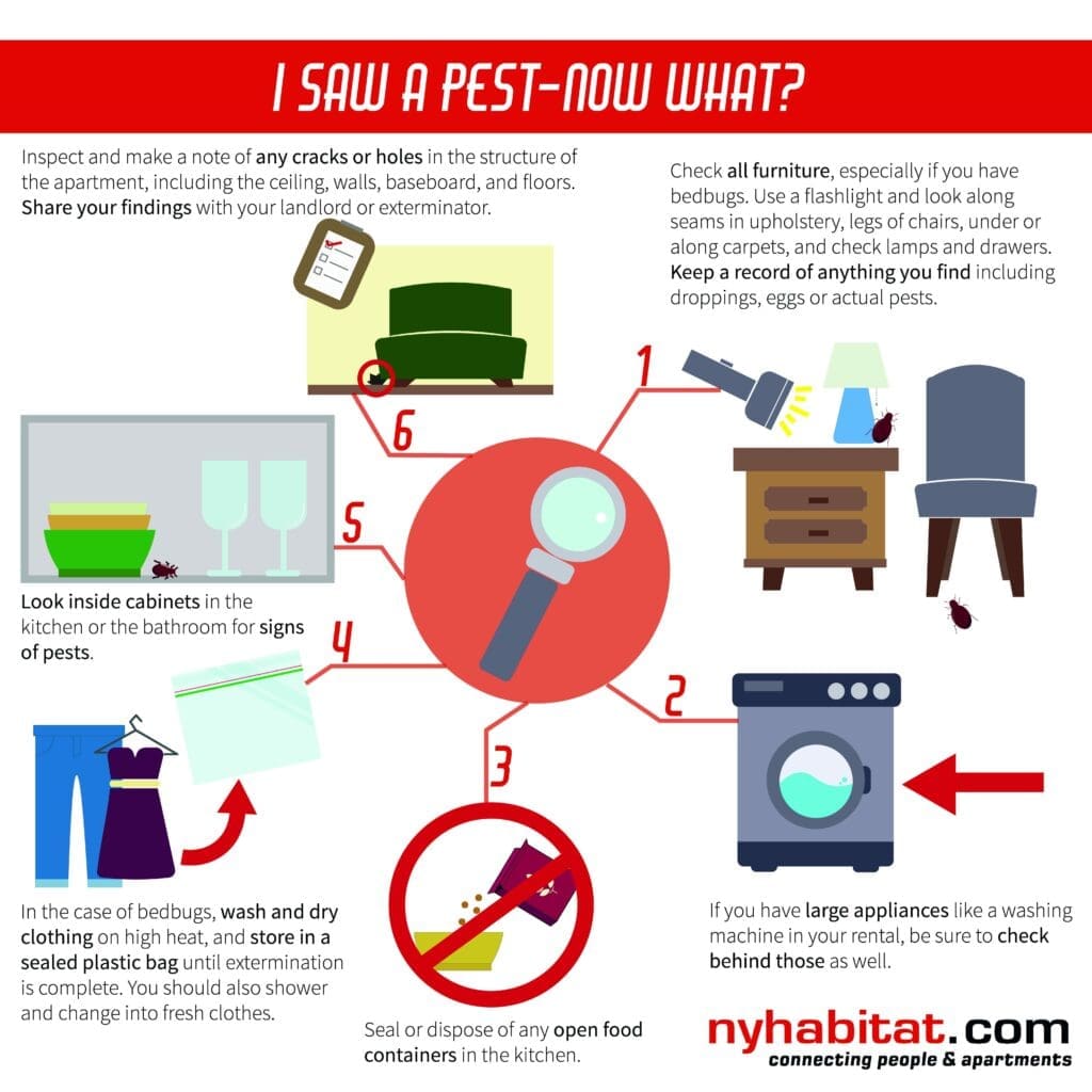 Pest Control In Apartments: What To Expect And How To Prepare